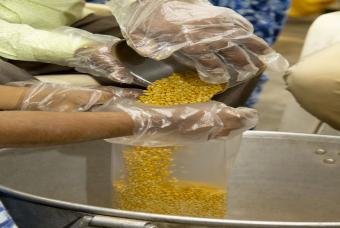 Cleaned lentils are packed to help a family survive. 